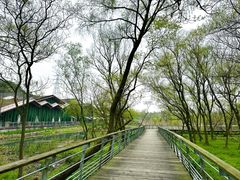 -西湖风景区-江洋畈生态公园