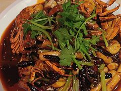 -杨氏青龙虾·羊蝎子(珠江路店)