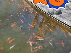 -河北省园博园