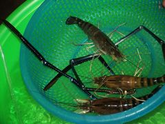 -幸福姐海鲜大排档