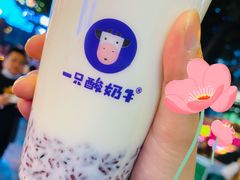 -一只酸奶牛(八一路店)