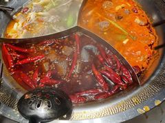 -辣伍鲜毛肚老火锅(元一店)