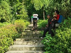 -东天目山风景区