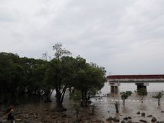 -宝安西湾红树林湿地公园