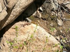 -碓臼峪自然风景区