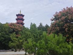 -云龙湖旅游景区