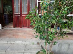 -西关竹园(荔枝湾店)