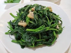 猪油渣拍蒜炒番薯叶-利苑酒家(合景国际金融广场店)