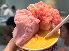 -红楼HONGLOU Gelato(淮海中路店)