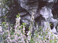 -荆川公园