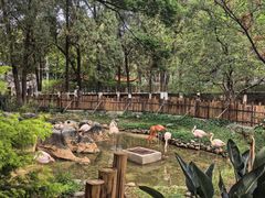 -昆明动物园