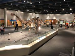 -香港科学馆