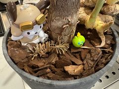 -CCC COFFEE 喜喜喜咖啡