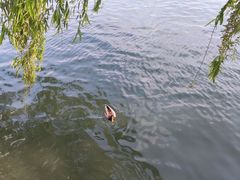 -北海公园