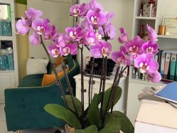 -广生源养发养生馆