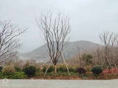 -青龙山公园