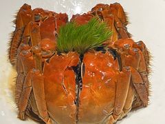 -渔人码头(中南店)