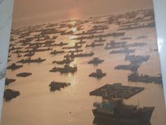 -老地方海鲜坊(步行街店)
