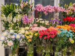 -FEI FEI FLOWER鲜花店·气球派对·宝宝宴布置(虹口德必运动Loft店)
