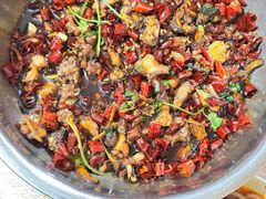 -食神又名厕所兔