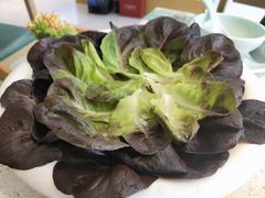 -九孔·筒骨莲藕汤锅(大明宫万达店)