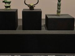 -广西壮族自治区博物馆