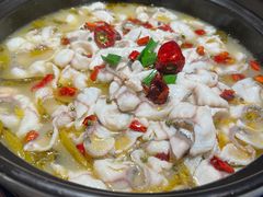 -周渝食惦酸菜鱼(青浦店)