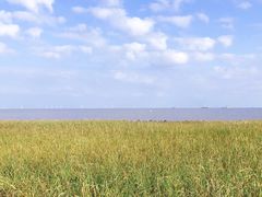 -南汇嘴观海公园