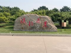 -塘沽森林公园