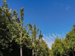 -苏州河梦清园环保主题公园