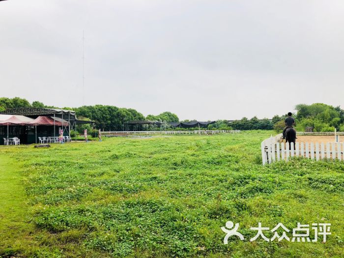 图片-上海运动健身-大众点评网
