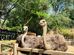 -北京野生动物园