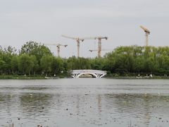 -大兴滨河森林公园