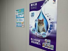 -半岛宠物医院24小时(科华中路店)