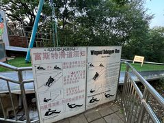 -富斯特索道