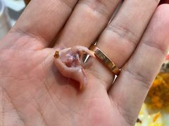 -渝蛙馆(新百店)