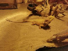 -多彩贵州城极地海洋世界