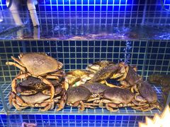 -必点海鲜·鲅鱼水饺(鞍山西道店)