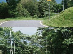 -黄埔油麻山森林公园