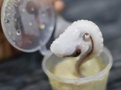 白灼章鱼-铭聚章鱼土笋冻(松柏店)