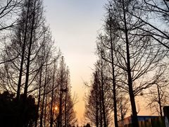 -滆湖低碳生态公园