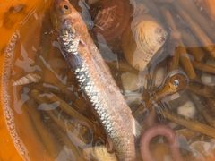 -北海金海湾红树林生态旅游区