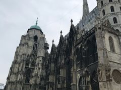 -斯蒂芬主教座堂(Stephansdom)