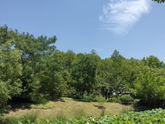 -太子山公园(园东路)
