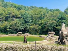 -杭州野生动物世界