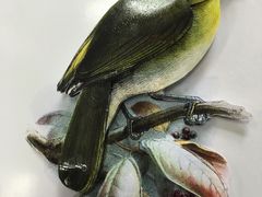 -东方明珠国际旅行社有限公司