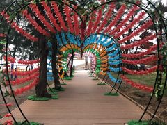 -北海金海湾红树林生态旅游区