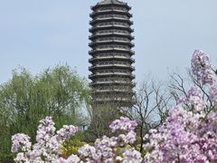 -西海子公园