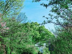 -杭州半山国家森林公园