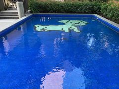 -上海崇明金茂凯悦酒店